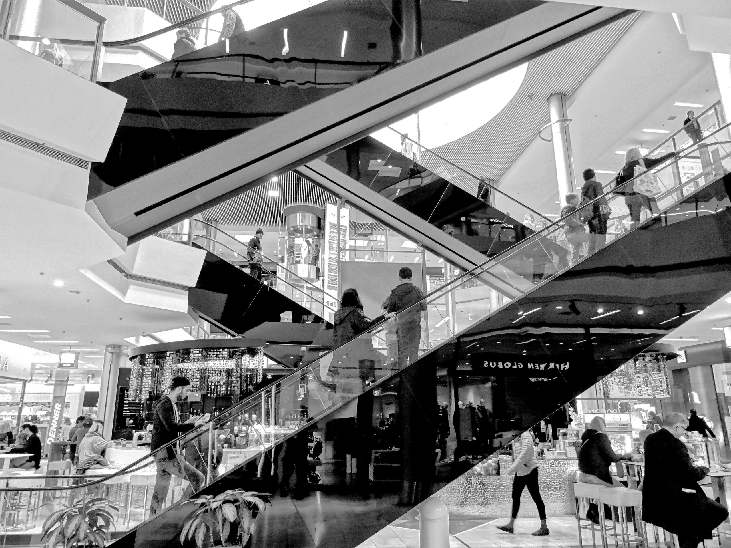 The Future of Shopping From Clicks to Bricks